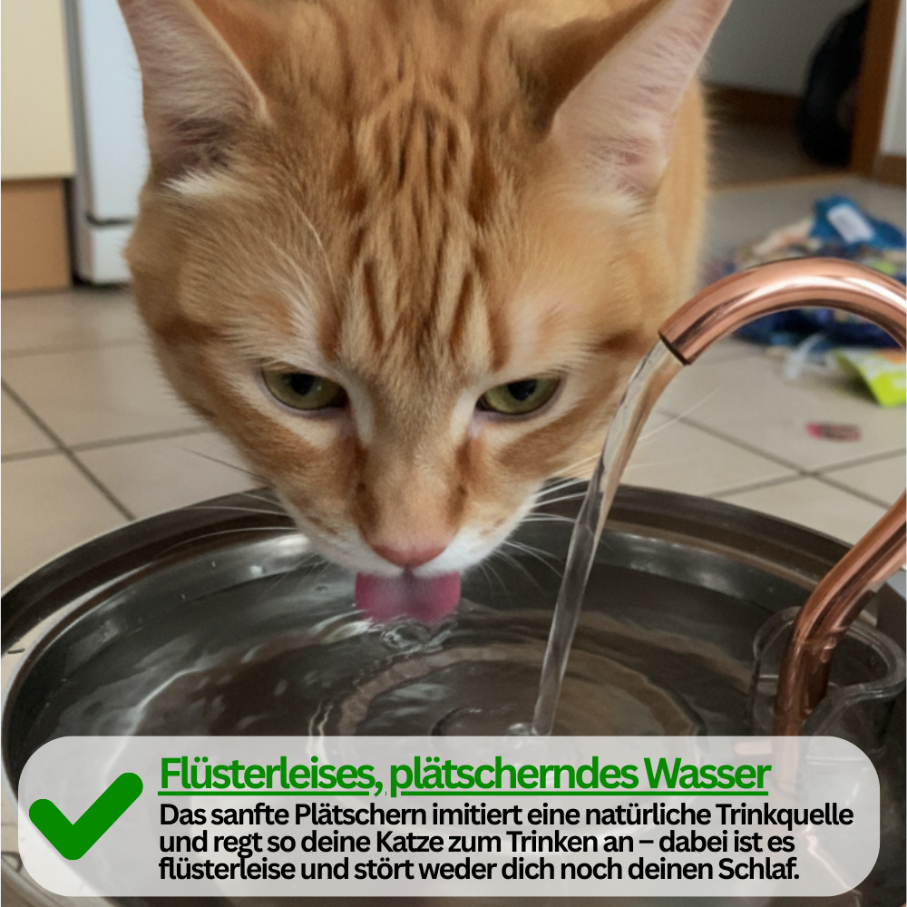 AquaFlow – Hydration & Hygiene Kit