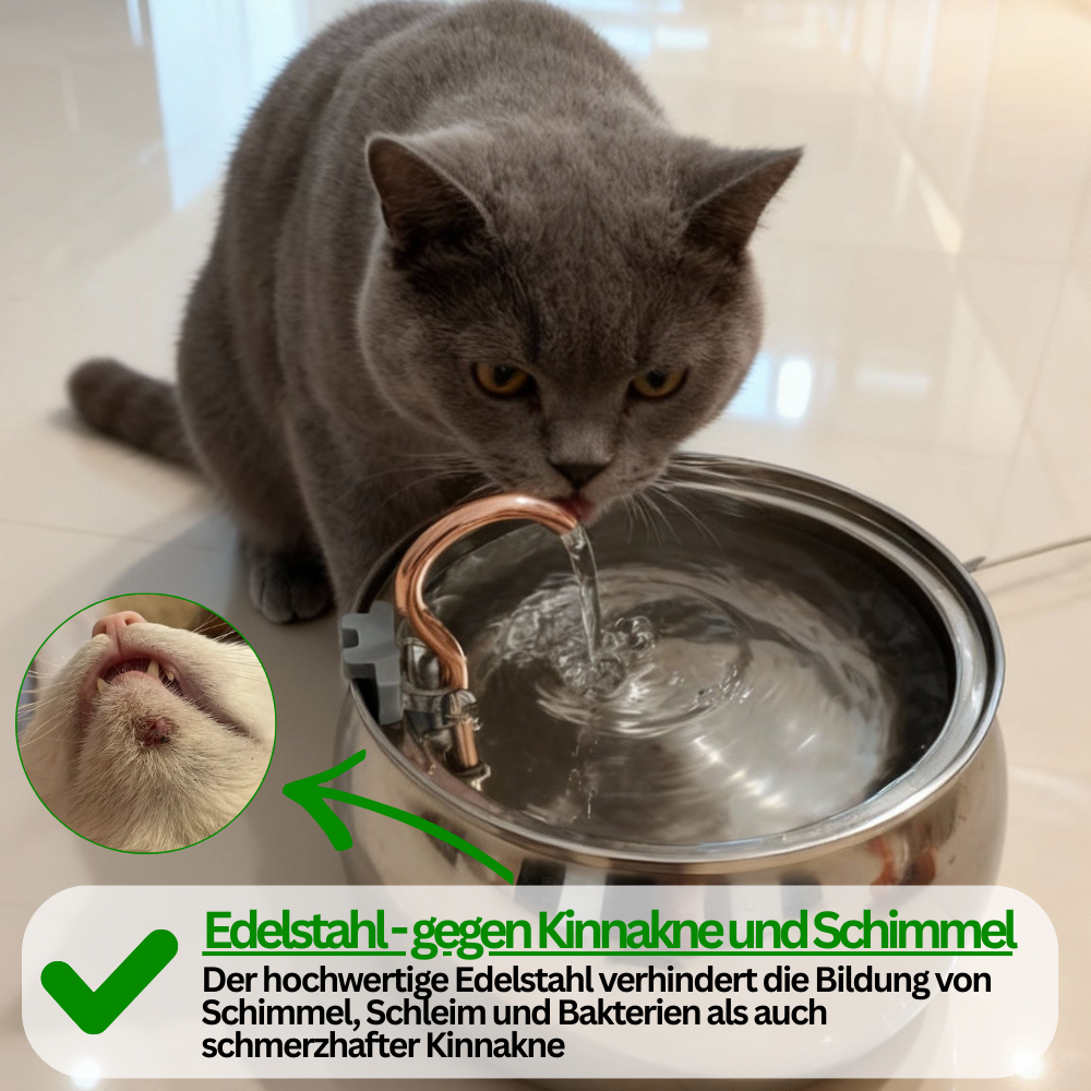 AquaFlow – Hydration & Hygiene Kit