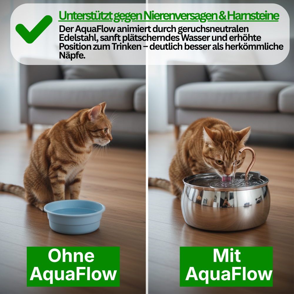 AquaFlow – Hydration & Hygiene Kit