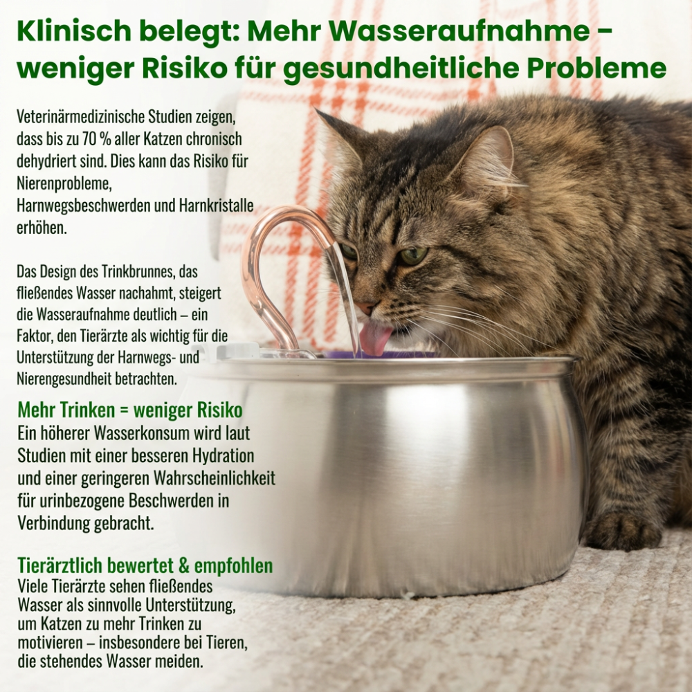 AquaFlow – Hydration & Hygiene Kit