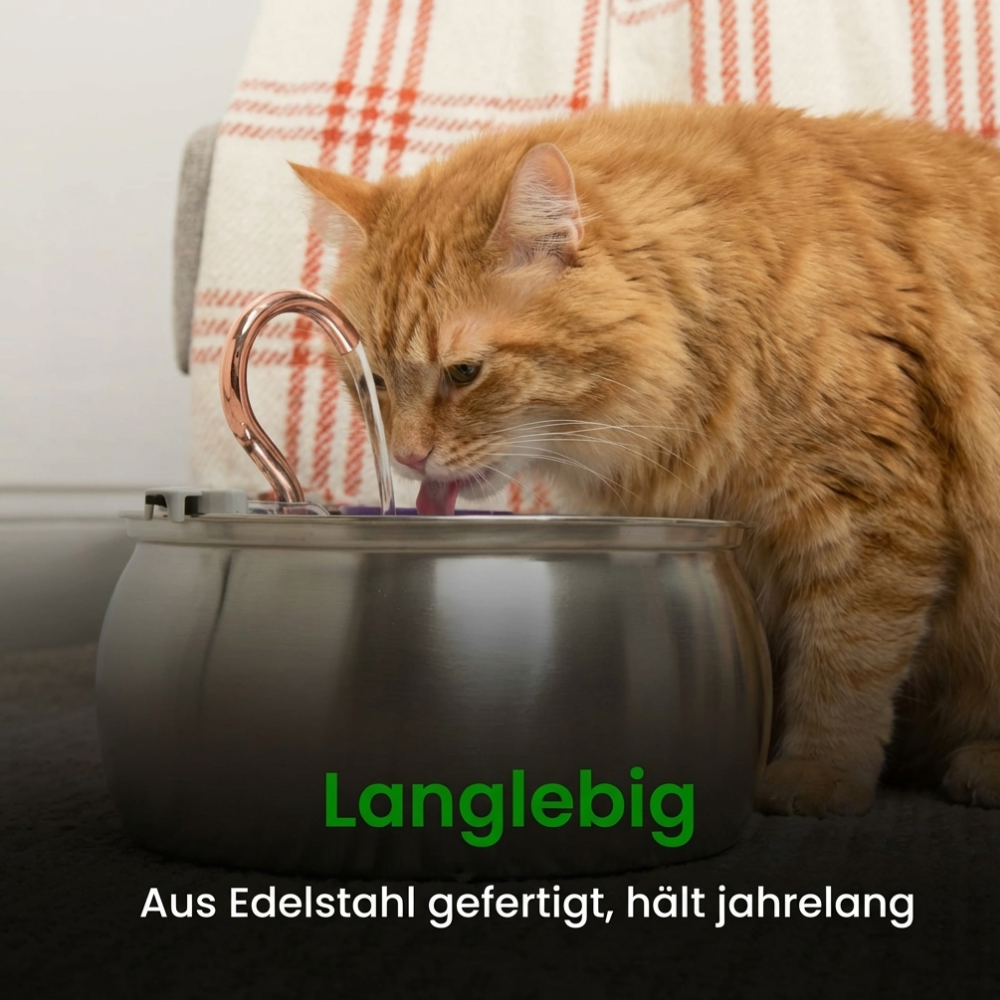 AquaFlow – Hydration & Hygiene Kit